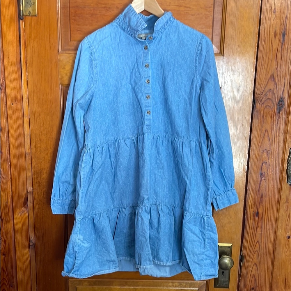 Falls Creek Blue Denim Mini Dress
